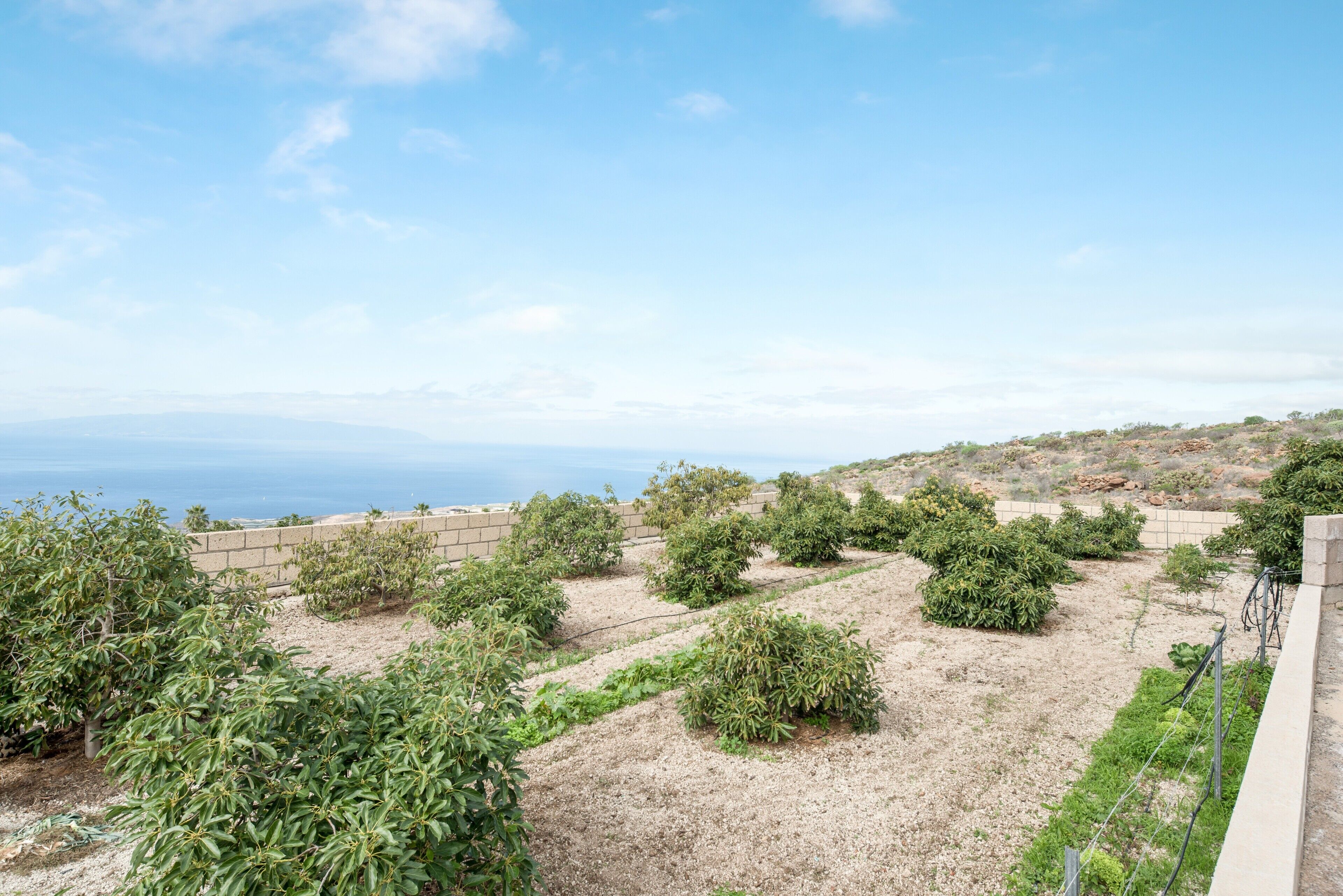 Un jardin sur le toit, agrémenté de diverses plantes, d’où l’on peut admirer la vue sur l’océan.