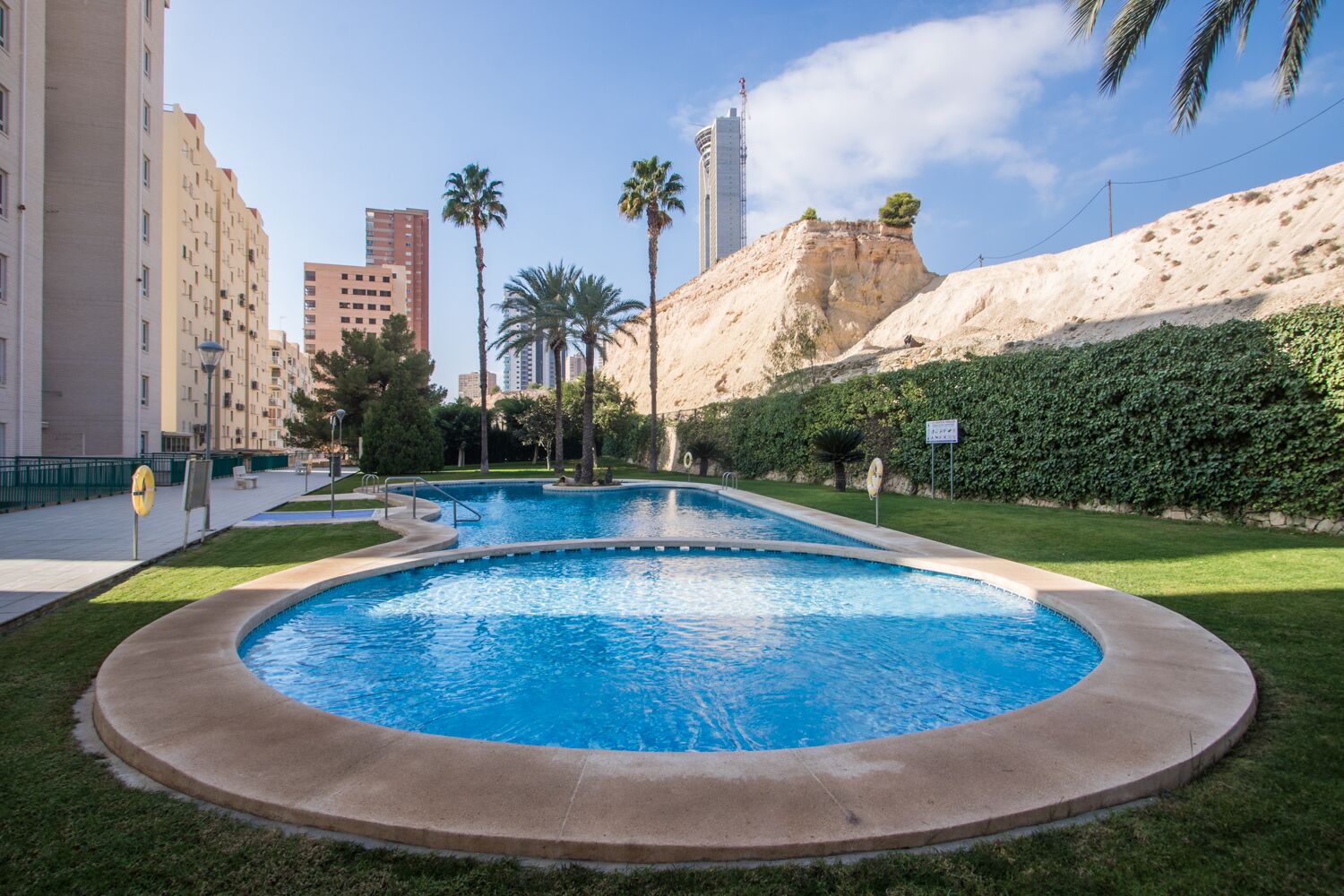 Una piscina con borde curvo, rodeada de césped y palmeras.