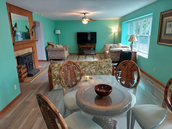 Smart TV, chimenea, reproductor de DVD y libros 