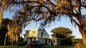 Une maison à deux étages avec une allée, une voiture garée et un grand arbre dont les branches sont recouvertes de mousse.