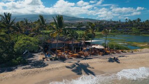 Une propriété située en bord de mer, dotée d’un espace extérieur aménagé, de palmiers et offrant une vue sur l’océan.