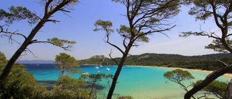 Beach nearby, sun-loungers