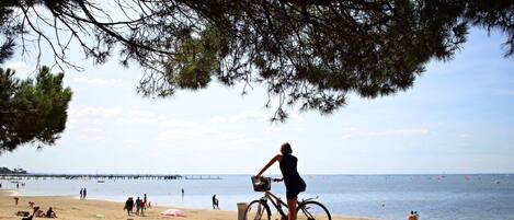 Plage, chaises longues