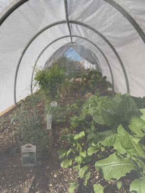 Exterior detail - Sparkling New Green Home - Martineztown (Albuquerque)