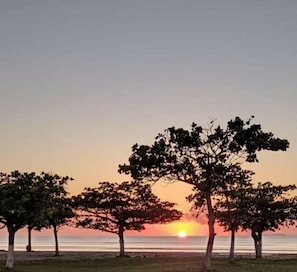 Une scène de plage avec des arbres et un coucher de soleil.