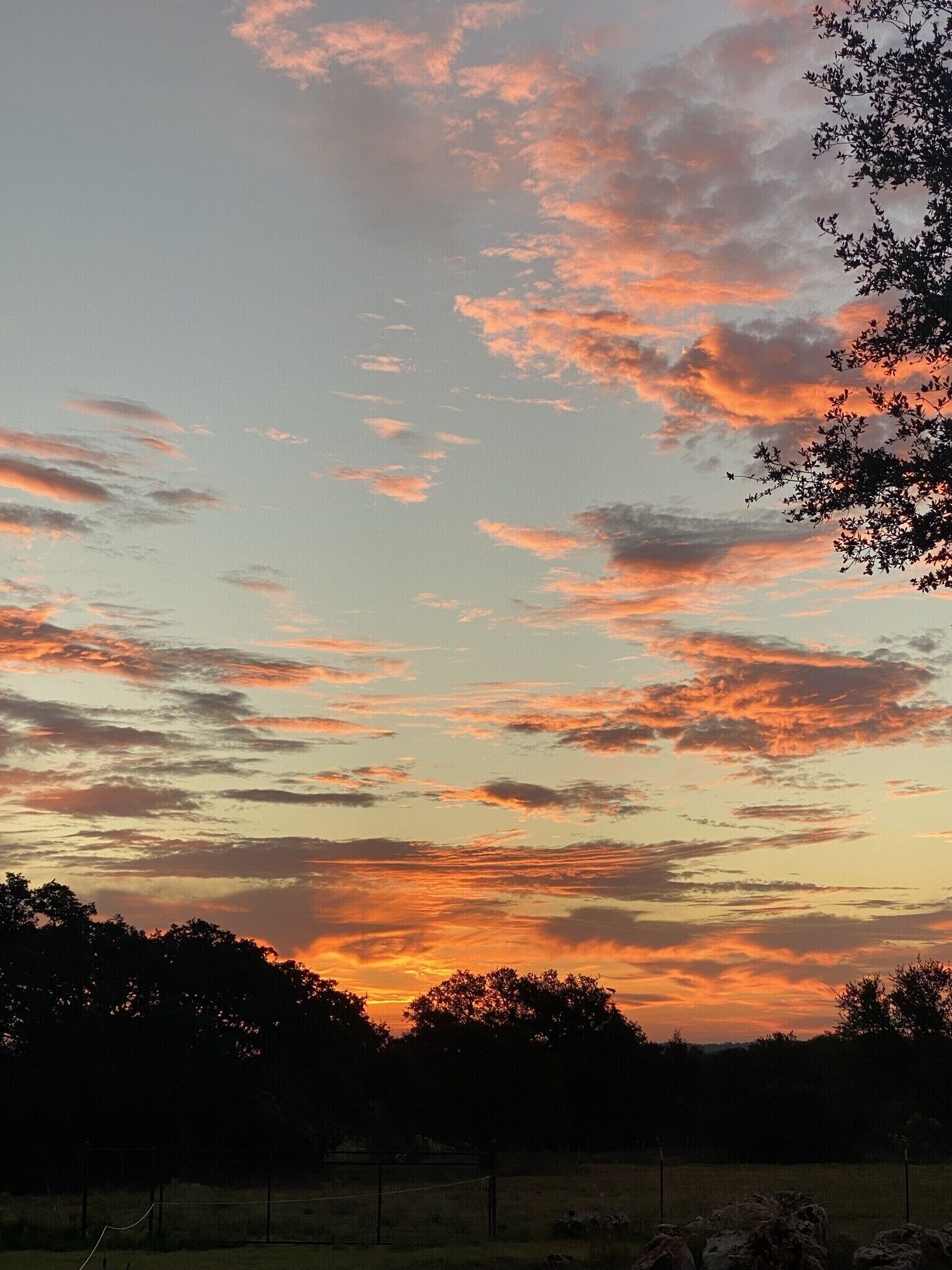 Een zonsonderganglucht met losse wolken boven een landschap met bomen en een hek.