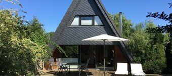 Cottage with fireplace, near the beach, dogs welcome, kitchen is new, fenced 