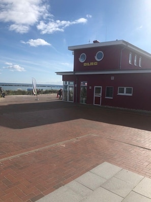 Exterior - Cottage with fireplace, near the beach, dogs welcome, kitchen is new, fenced (Damp)