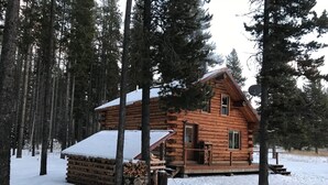 Une cabane en bois, entourée de grands pins, avec un toit enneigé et des marches menant à l’entrée.