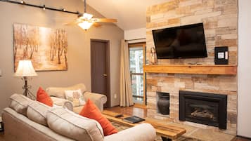 Fireplace, DVD player, books, music library