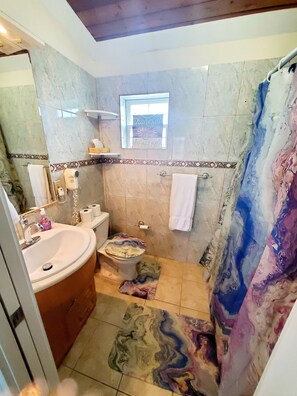 Combined shower/tub, hair dryer, towels, soap