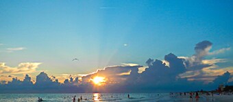 2 bedroom house, minutes to beaches, Atlanta Braves and Tampa Sea Rays stadiums