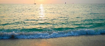 2 bedroom house, minutes to beaches, Atlanta Braves and Tampa Sea Rays stadiums