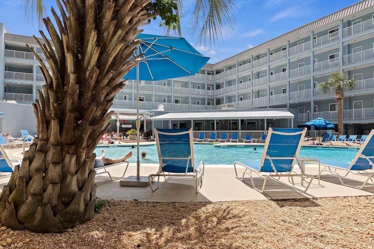 Zona de piscina con sillas de descanso, una palmera y un edificio de varios pisos con balcones.
