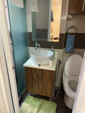 Shower, bidet, towels, soap