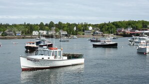 A marina with various boats docked, surrounded by houses and greenery.