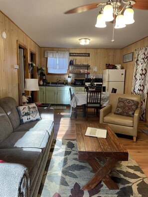 Smart TV, fireplace, DVD player