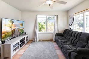 Smart TV, fireplace, DVD player, video library