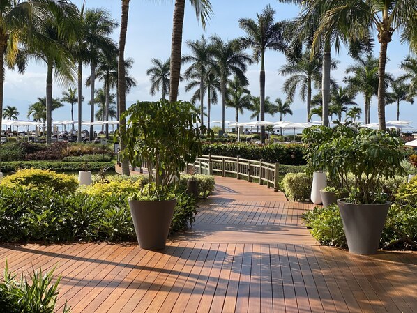 Property grounds - 3000 Acres of Paradise with 25 Restaurants, 2 Golf Courses  (Nuevo Vallarta)