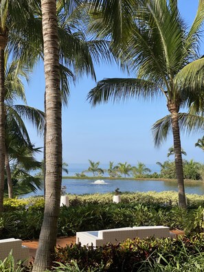 Property grounds - 3000 Acres of Paradise with 25 Restaurants, 2 Golf Courses  (Nuevo Vallarta)