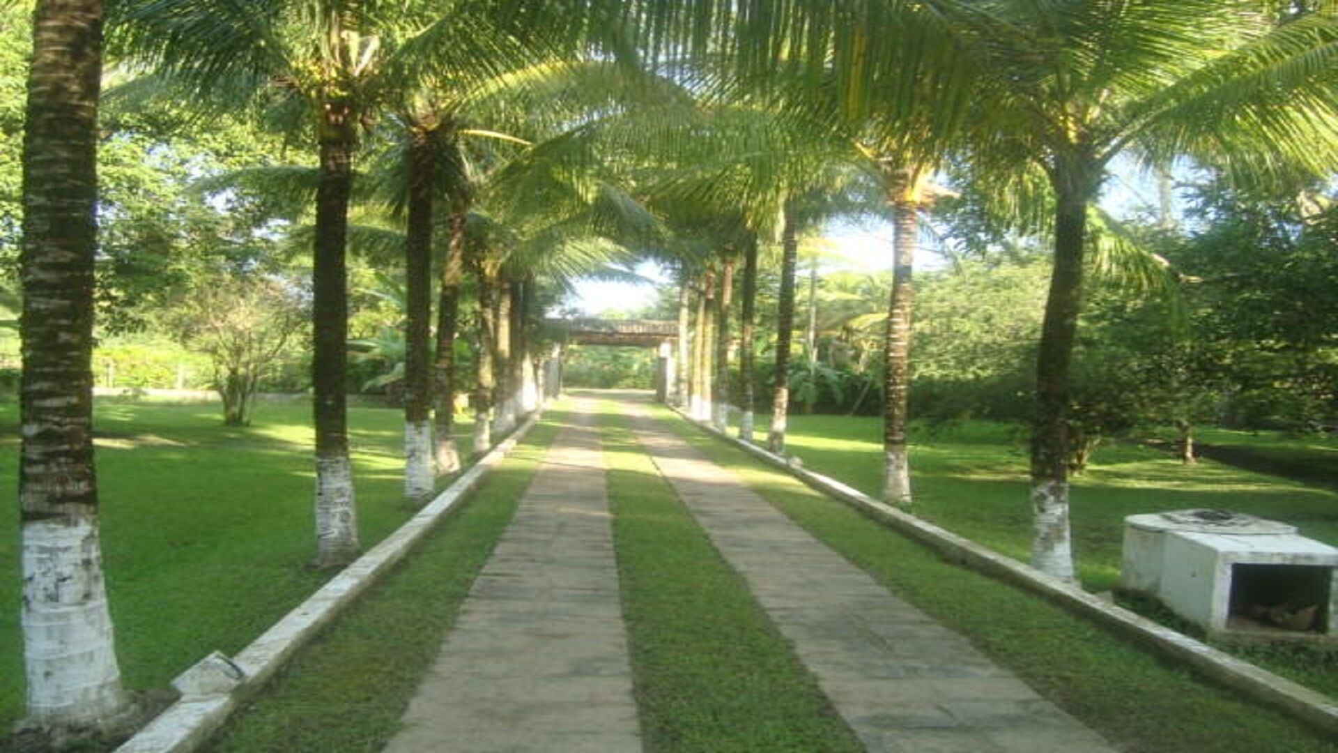 Property grounds