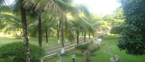 المنطقة المحيطة بالمنشأة