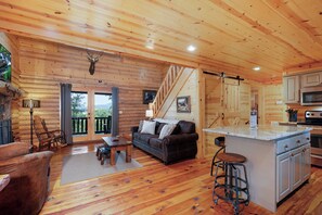 TV, fireplace, video games, DVD player