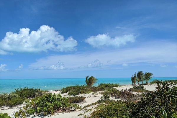 Plage à proximité, chaises longues, serviettes de plage