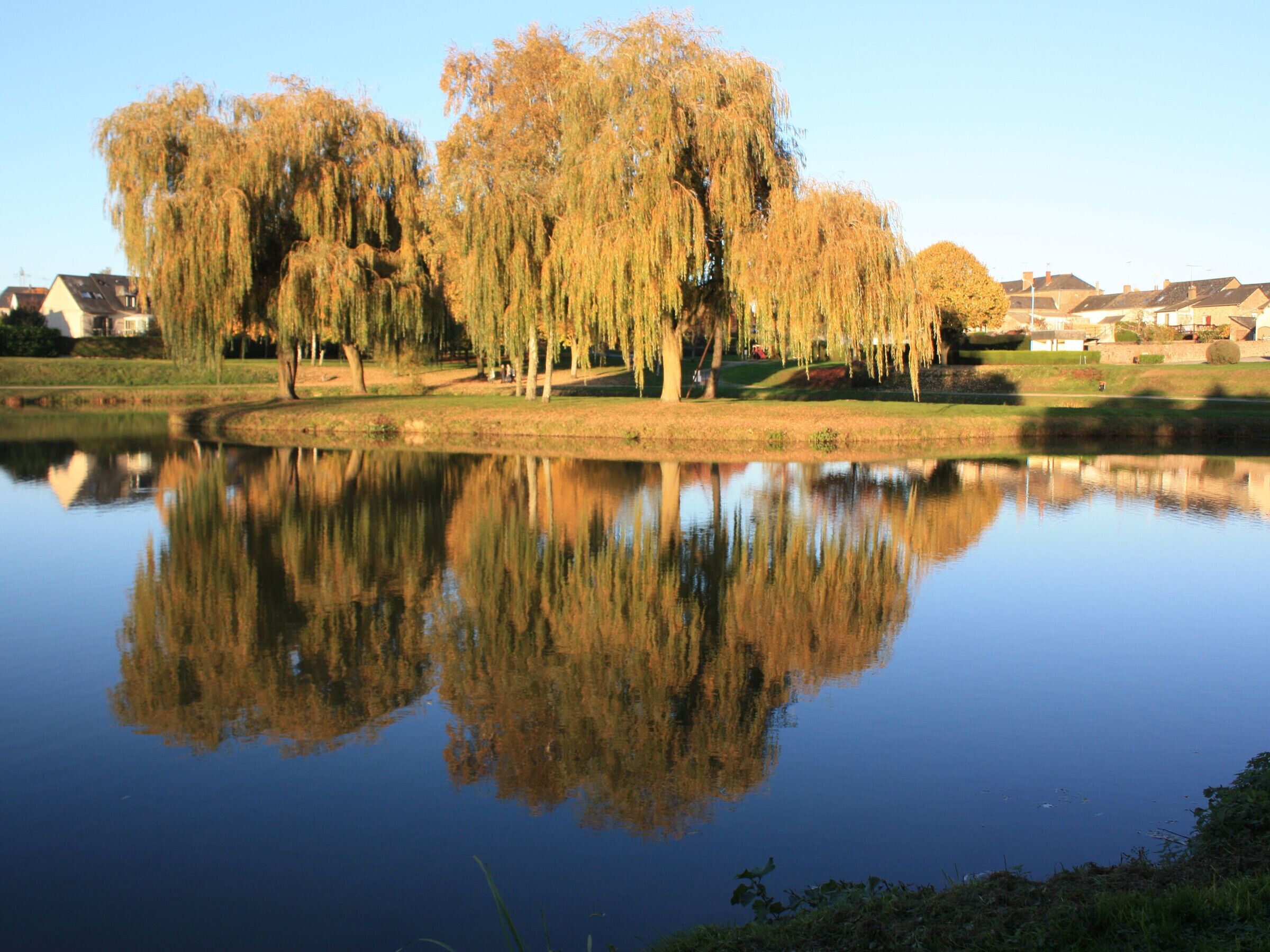 Ein ruhiger See, der Bäume und Häuser spiegelt.