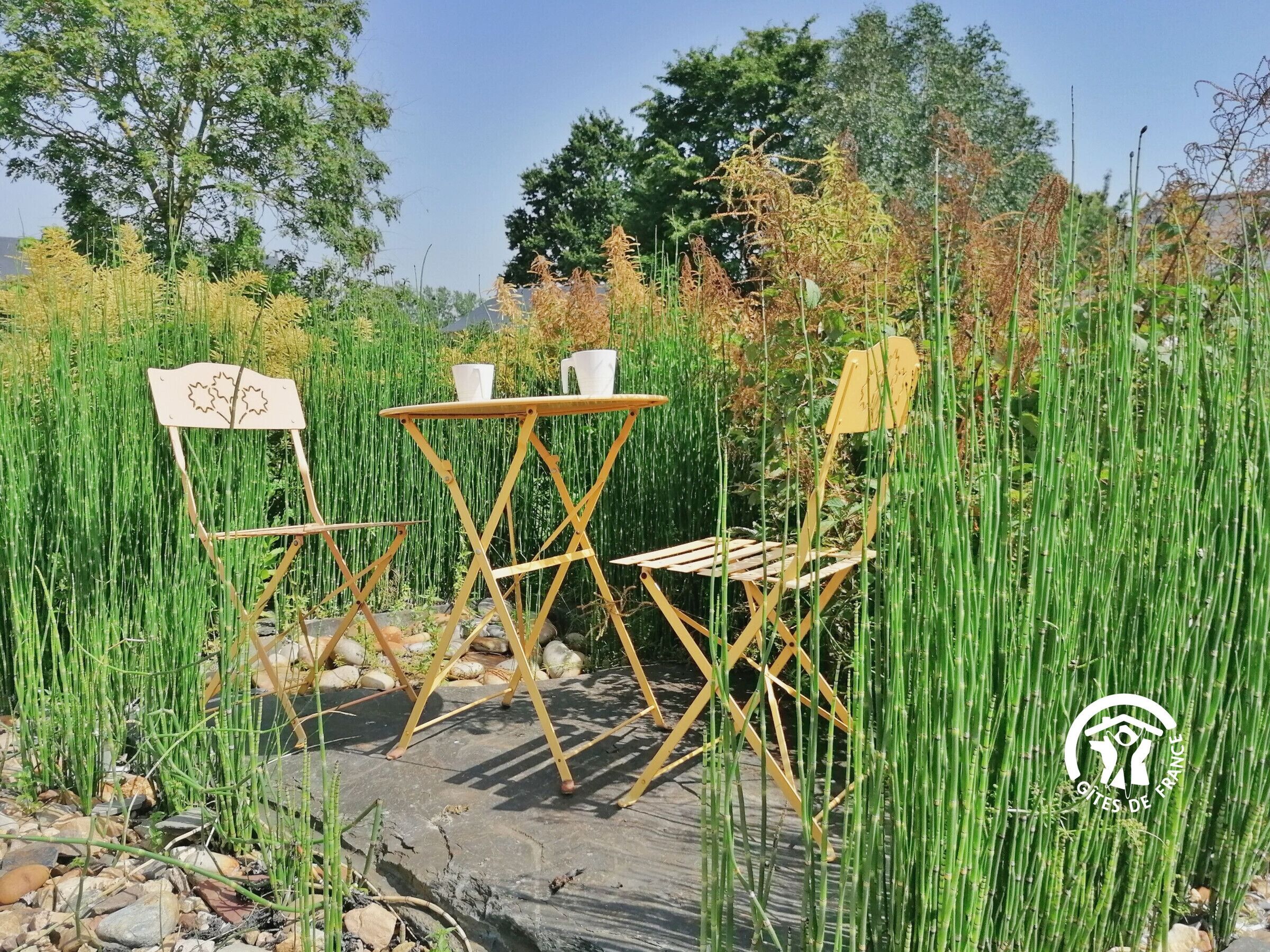 Terrein van de accommodatie