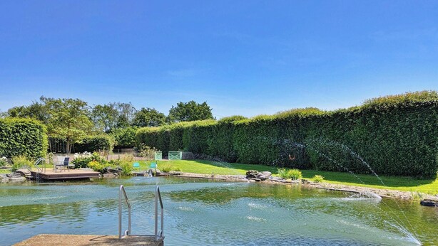 Ein ruhiger Poolbereich im Freien mit Holzterrasse, Metalltreppe und gepflegtem Heckenstreifen.