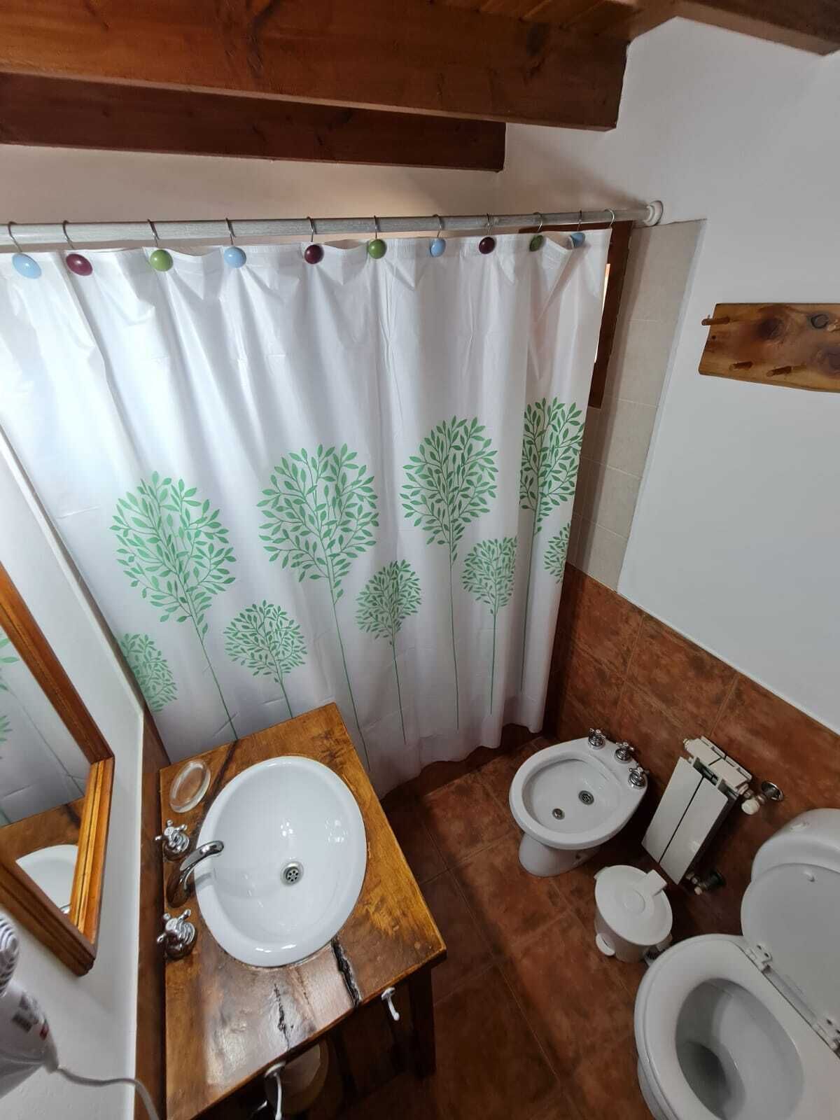 Combined shower/bathtub, hair dryer, bidet, towels