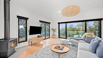 TV, fireplace, books