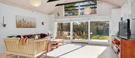 Télévision, cheminée, lecteur de DVD