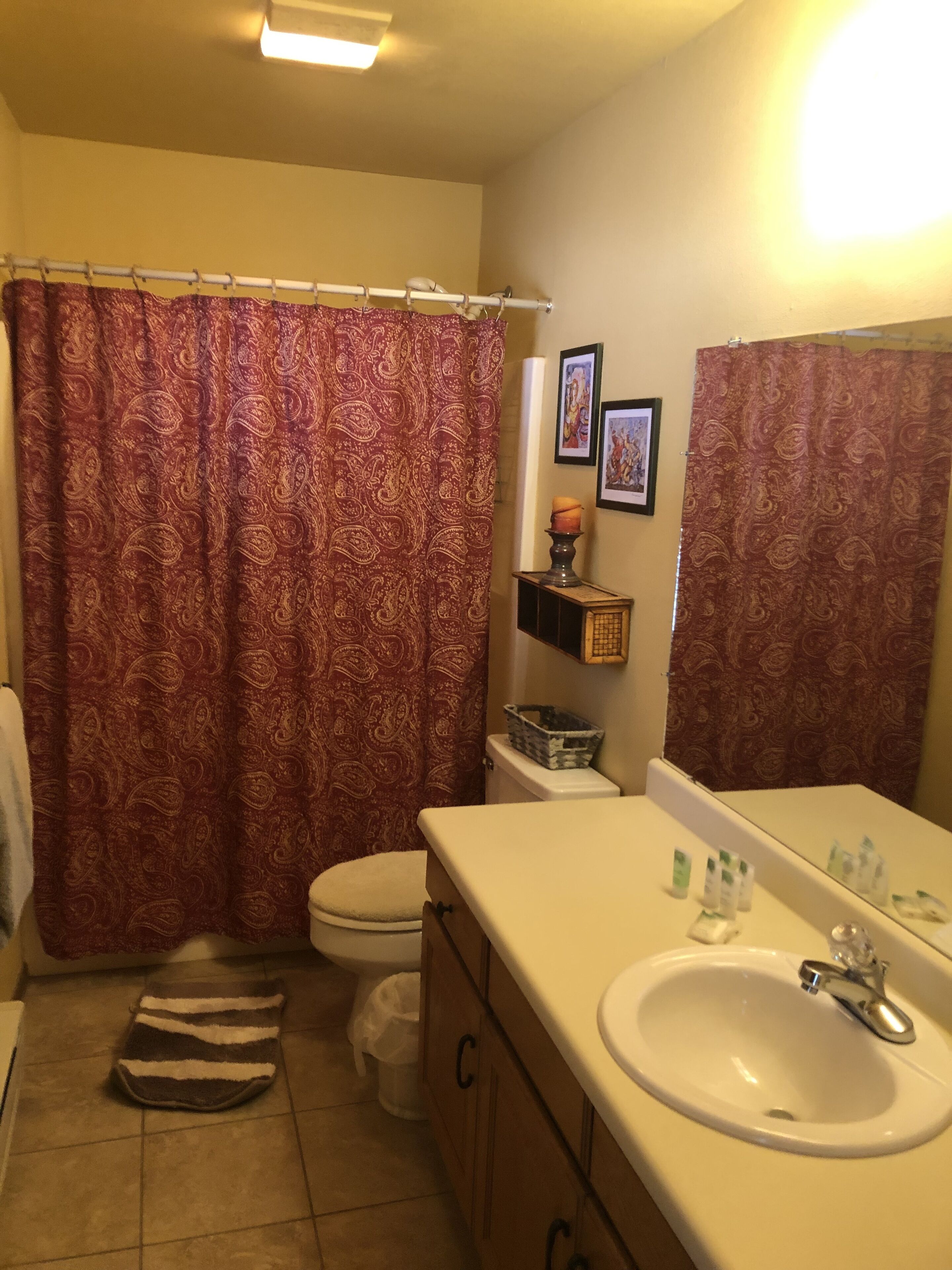 Une salle de bain équipée de toilettes, d’un lavabo et d’un rideau de douche.