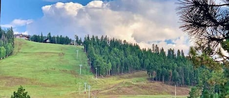 Overnatningsstedets område