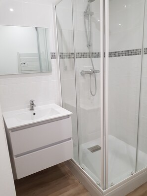 Ducha, secador de pelo, papel higiénico