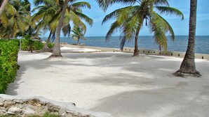 Ein Strand mit Palmen und Blick auf den Ozean.