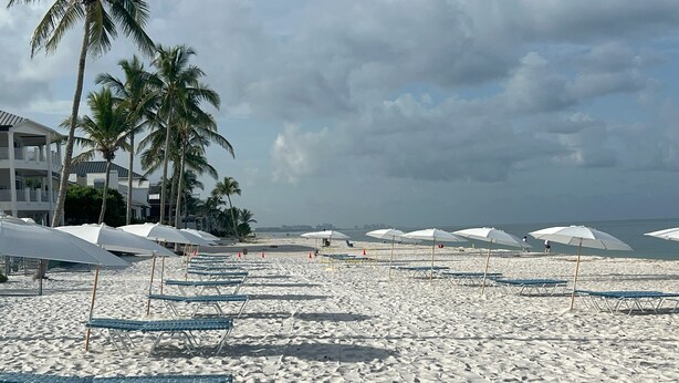 Une plage bordée de rangées de chaises longues bleues et de parasols blancs, avec des palmiers et un bâtiment en arrière-plan.