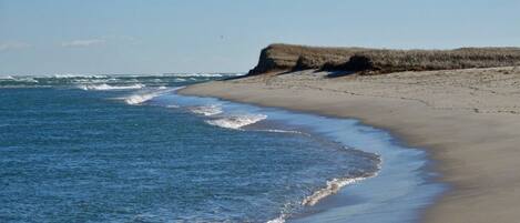 Beach nearby, sun-loungers