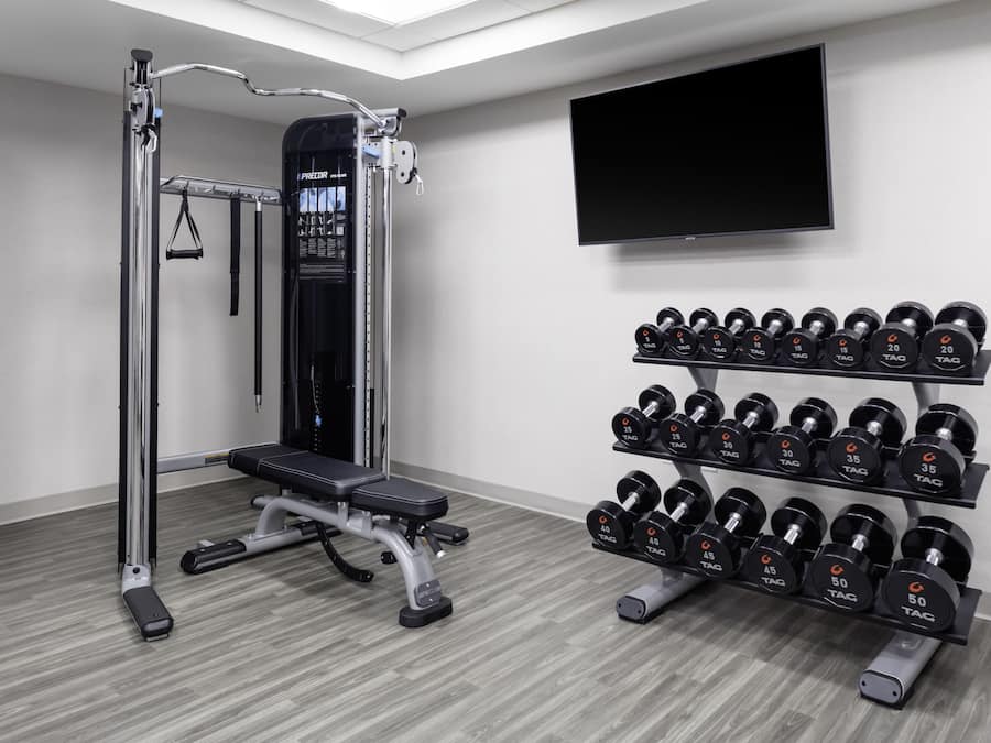 A gym with a pull-up bar, weight bench, and a rack of dumbbells.