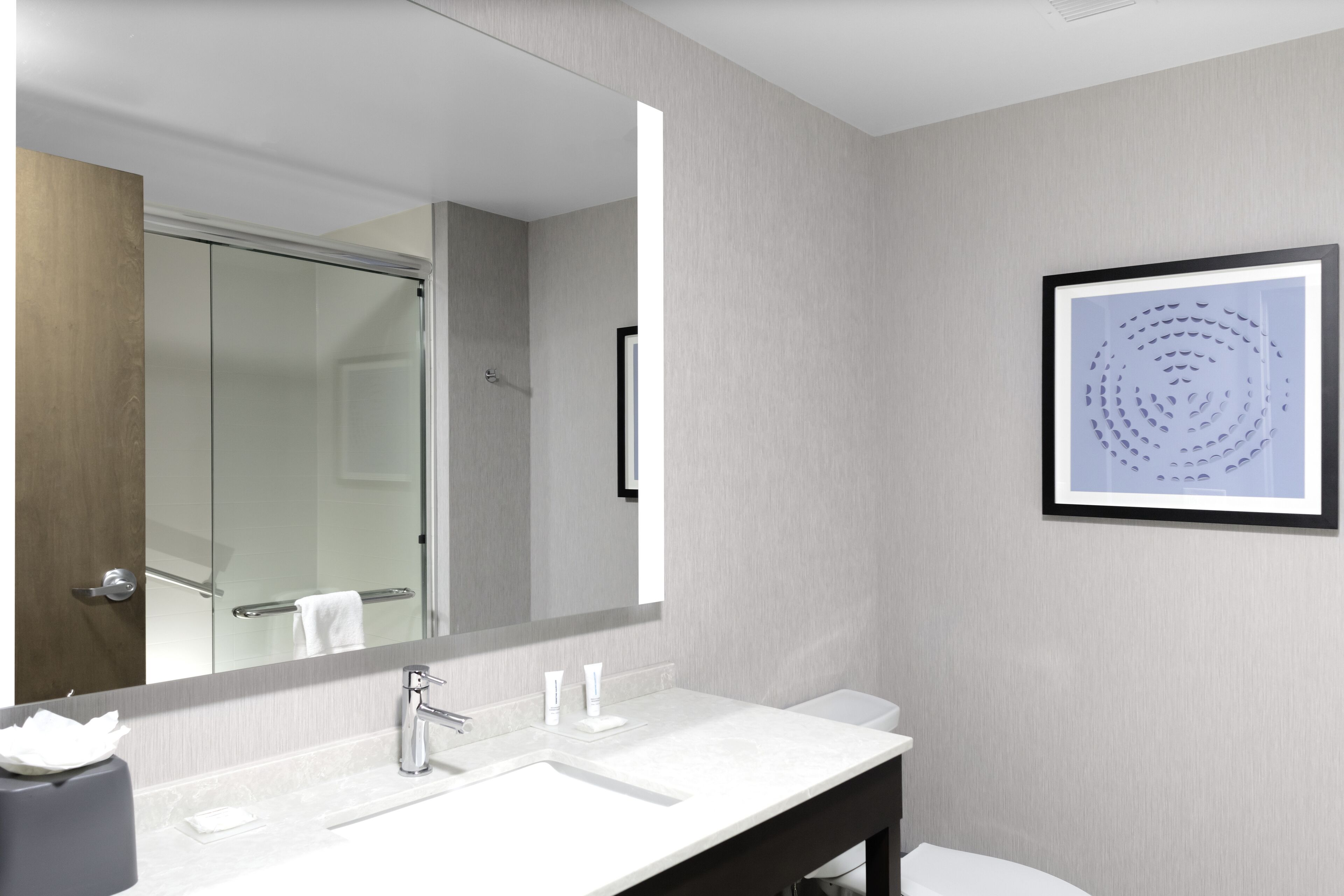 hair dryer, towels, soap, shampoo