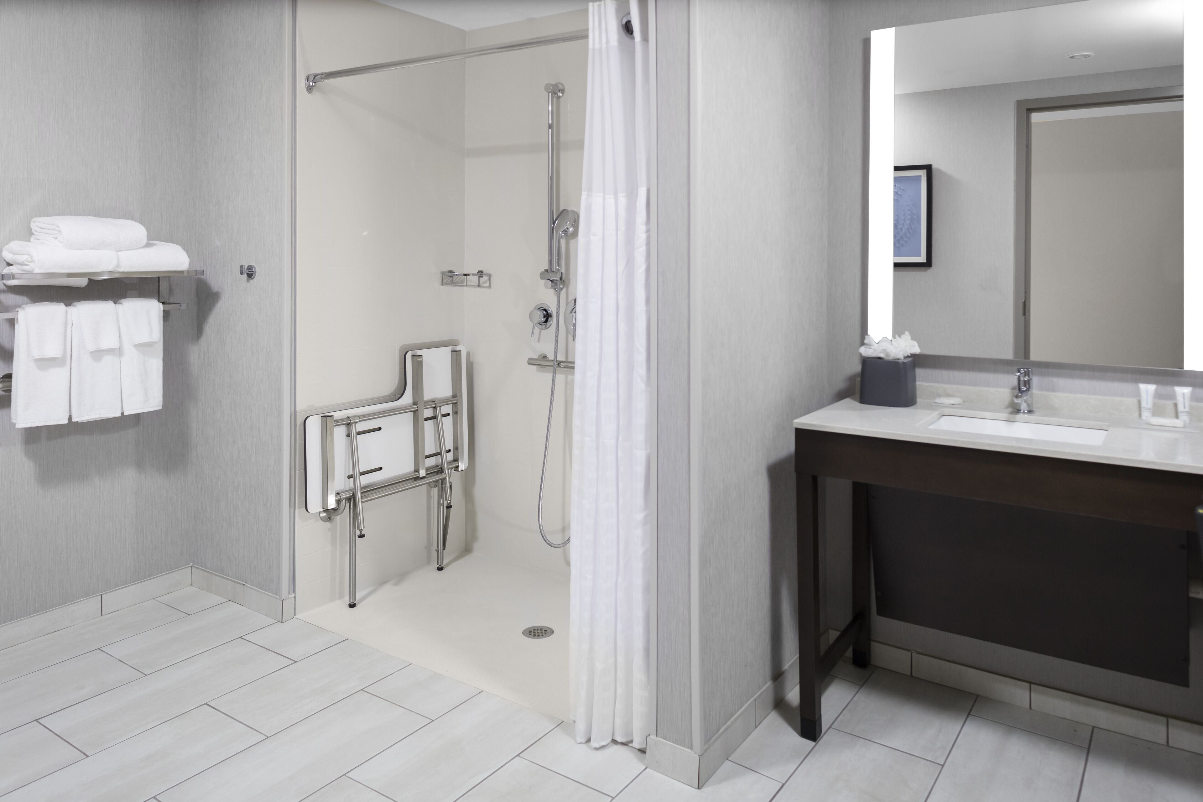 room, 1 king bed with sofa bed, accessible (roll-in shower) | bathroom | hair dryer, towels, soap, shampoo