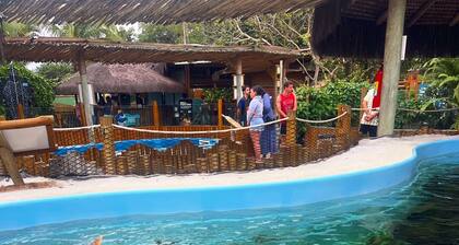 Pousada Margerie Ubatuba - Itagua
