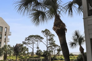 A building with balconies, surrounded by palm trees and other vegetation.