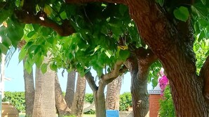 Property grounds - Villa in Cala Puntal. walk to the beach (Vinaròs)