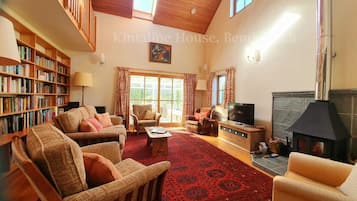 Smart TV, chimenea, reproductor de DVD y libros
