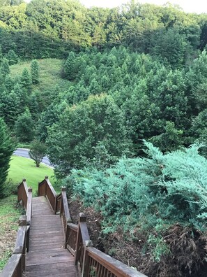 Property grounds - Splash in the Smokys ! (Sevierville)