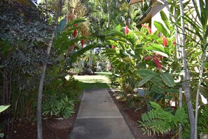 Property grounds - Beautifully remodeled 2 Bd, 2 Bath Condo, short walk to the Beach (Kihei)