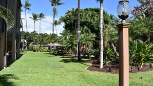 A well-maintained garden with palm trees and a clear sky. - Beautifully remodeled 2 Bd, 2 Bath Condo, short walk to the Beach (Kihei)